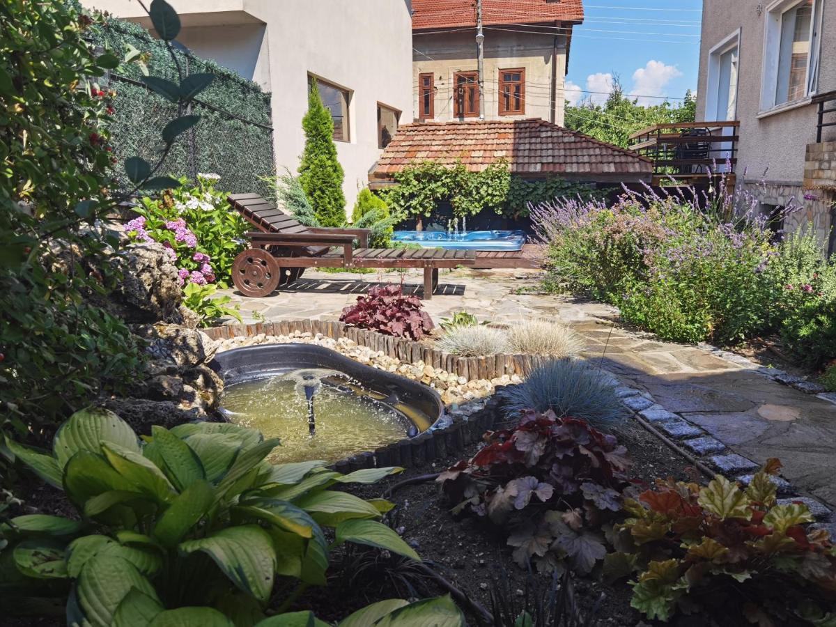 Mira Guest House Добриниште Екстер'єр фото